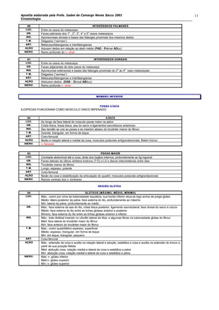 Apostila elaborada pela Profa. Isabel de Camargo Neves Sacco 2001
Cinesiologia
11
6060 INTERÓSSEOS PALMARESINTERÓSSEOS PALMARES
LOC.LOC. Entre os ossos do metacarpo
OR.OR. Faces palmares dos 1
o
, 2
o
, 3
o
, 4
o
e 5
o
ossos metacarpos
INS.INS. Aponeuroses dorsais e bases das falanges proximais dos mesmos dedos
T.M.T.M. Delgados (“vermes”)
ART.ART. Metacarpofalangianas e interfalangianas
AÇÃOAÇÃO Aduzem dedos em relação ao dedo médio (PAD - Palmar ADuz)
INERV.INERV. Ramo profundo do n. ulnar
6161 ININTERÓSSEOS DORSAISTERÓSSEOS DORSAIS
LOC.LOC. Entre os ossos do metacarpo
OR.OR. Faces adjacentes de dois ossos do metacarpo
INS.INS. Aponeurose extensoras e bases das falanges proximais do 2
o
ao 4
o
osso metacarpais
T.M.T.M. Delgados (“vermes”)
ART.ART. Metacarpofalangianas e interfalangianas
AÇÃOAÇÃO Abduzem dedos (DAB – Dorsal ABduz)
INERV.INERV. Ramo profundo n. ulnar
MEMBRO INFERIORMEMBRO INFERIOR
FOSSA ILÍACAFOSSA ILÍACA
ILIOPSOAS FUNCIONAM COMO MÚSCULO ÚNICO BIPENADO
6262 ILÍACOILÍACO
LOC.LOC. Ao longo da face lateral do músculo psoas maior na pelve
OR.OR. Crista ilíaca, fossa ilíaca, asa do sacro e ligamentos sacroilíacos anteriores
INS.INS. Seu tendão se une ao psoas e se inserem abaixo do trocânter menor do fêmur
T.M.T.M. Grande, triangular, em forma de leque
ART.ART. Coxo-femural
AÇÃOAÇÃO flexão e rotação lateral e medial da coxa, músculos posturais antigravitacionais, fletem tronco
INERV.INERV. n. femoral
6363 PSOAS MAIORPSOAS MAIOR
LOC.LOC. Cavidade abdominal até a coxa, atrás dos órgãos internos, profundamente ao lig inguinal
OR.OR. Faces laterais da última vértebra torácica (T12) a L5 e discos intervertebrais entre elas
INS.INS. Trocânter menor do fêmur
T.M.T.M. Longo, espesso, potente
ART.ART. Coxo-femural
AÇÃOAÇÃO flexão da coxa e estabilização da articulação do quadril, músculos posturais antigravitacionais
INERV.INERV. Ramos ventrais dos n. lombares
REGIÃO GLÚTEREGIÃO GLÚTEAA
6464 GLÚTEOS (MÁXIMO, MÉDGLÚTEOS (MÁXIMO, MÉDIO, MÍNIMO)IO, MÍNIMO)
LOC.LOC. Máx.: coxim por cima da tuberosidade isquiática, sua borda inferior situa-se logo acima da prega glútea
Médio: látero-posterior da pelve, face externa do ílio, profundamente ao máximo
Mín: lateral da pelve, profundamente ao médio
OR.OR. Máx.: face externa da asa do ílio, crista ilíaca posterior, ligamento sacrotuberal, face dorsal do sacro e cóccix
Médio: face externa do ilio entre as linhas glúteas anterior e posterior
Mínimo: face externa do ílio entre as linhas glúteas anterior e inferior
INS.INS. Máx.: trato iliotibial inserido no côndilo lateral da tíbia, e algumas fibras na tuberosidade glútea do fêmur
Méd: face lateral do trocânter maior do fêmur
Mín: face anterior do trocânter maior do fêmur
T.M.T.M. Máx.: coxim quadrilátero espesso, superficial
Médio: espesso, triangular, em forma de leque
Min: em leque, triangular, pequeno
ART.ART. Coxo-femural
AÇÃOAÇÃO Máx.: extensão da coxa e auxilia na rotação lateral e adução, estabiliza a coxa e auxilia na extensão do tronco a
partir de sua posição fletida
Méd: abdução coxa, rotação medial e lateral da coxa e estabiliza a pelve
Mín: abdução coxa, rotação medial e lateral da coxa e estabiliza a pelve
INERV.INERV. Máx: n. glúteo inferior
Méd:n. glúteo superior
Mín: n. glúteo superior
 