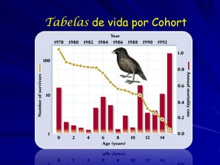Idade (anos)
O valor reprodutivo como função de idade em dois cohorts
de tentilhão de Darwin em 1976 e 1978 (Grant e Grant...