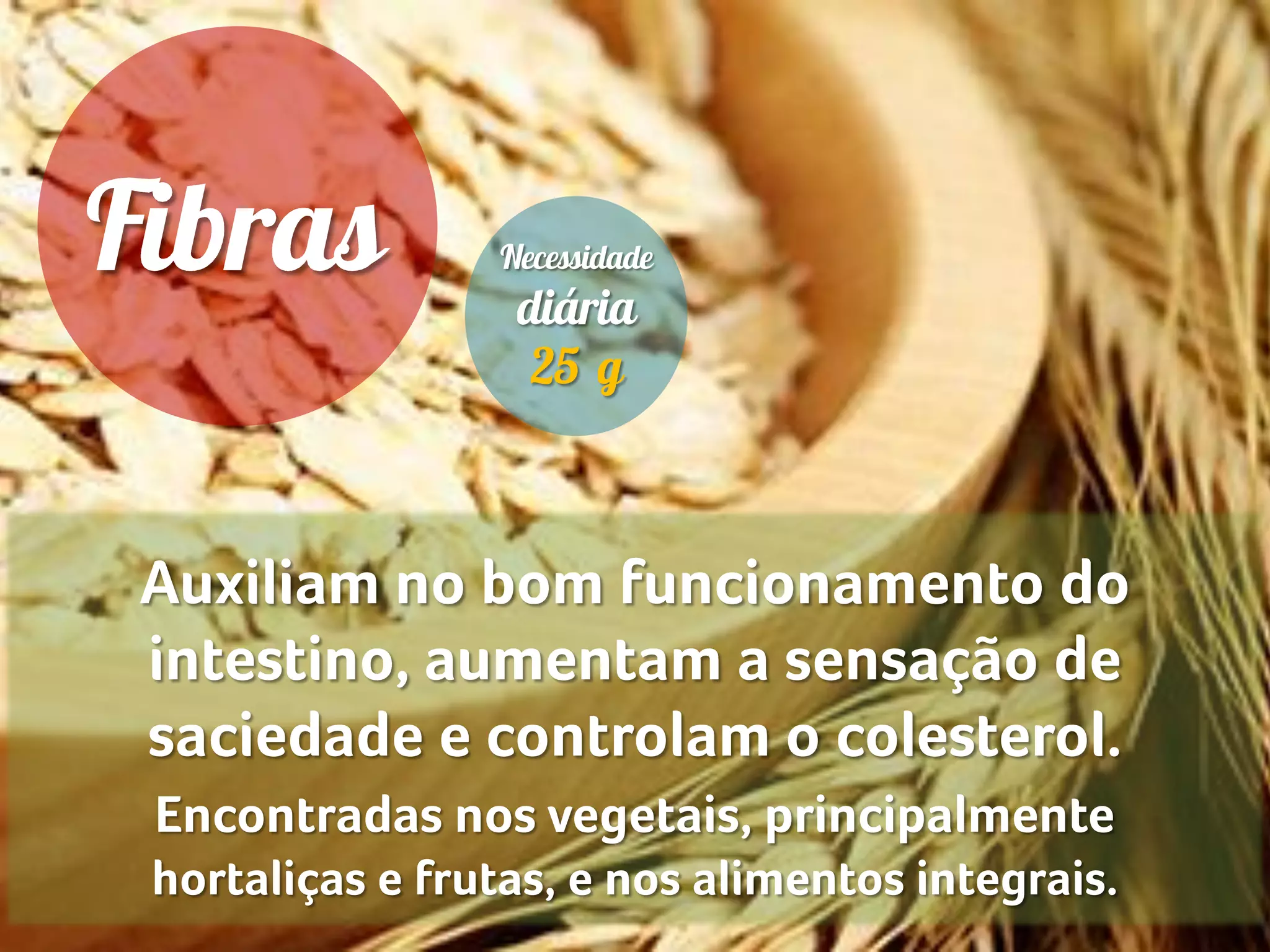 Auxiliam no bom funcionamento do
intestino, aumentam a sensação de
saciedade e controlam o colesterol.
Encontradas nos vegetais, principalmente
hortaliças e frutas, e nos alimentos integrais.
 