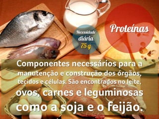 Componentes necessários para a
manutenção e construção dos órgãos,
tecidos e células. São encontrados no leite,
ovos, carnes e leguminosas
como a soja e o feijão.
 