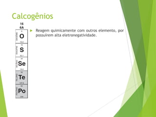 Calcogênios
       Reagem quimicamente com outros elemento, por
        possuírem alta eletronegatividade.
 