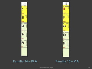 Família 14 – IV A Família 15 – V A
Ciências Naturais - ICRM 24
 
