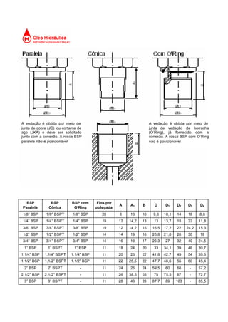 BSP
Paralela
BSP
Cônica
BSP com
O’Ring
Fios por
polegada
A A1 B D D1 D2 D3 D4
1/8” BSP 1/8” BSPT 1/8” BSP 28 8 10 10 9,6 10,1 14 18 8,8
1/4” BSP 1/4” BSPT 1/4” BSP 19 12 14,2 13 13 13,7 18 22 11,8
3/8” BSP 3/8” BSPT 3/8” BSP 19 12 14,2 15 16,5 17,2 22 24,2 15,3
1/2” BSP 1/2” BSPT 1/2” BSP 14 14 19 16 20,8 21,6 26 30 19
3/4” BSP 3/4” BSPT 3/4” BSP 14 16 19 17 26,3 27 32 40 24,5
1” BSP 1” BSPT 1” BSP 11 18 24 20 33 34,1 39 46 30,7
1.1/4” BSP 1.1/4” BSPT 1.1/4” BSP 11 20 25 22 41,8 42,7 49 54 39,6
1.1/2” BSP 1.1/2” BSPT 1.1/2” BSP 11 22 25,5 22 47,7 48,6 55 60 45,4
2” BSP 2” BSPT - 11 24 26 24 59,5 60 68 - 57,2
2.1/2” BSP 2.1/2” BSPT - 11 26 38,5 26 75 75,5 87 - 72,7
3” BSP 3” BSPT - 11 28 40 28 87,7 89 103 - 85,5
A vedação é obtida por meio de
junta de cobre (JC) ou cortante de
aço (JKA) e deve ser solicitado
junto com a conexão. A rosca BSP
paralela não é posicionável
A vedação é obtida por meio de
junta de vedação de borracha
(O’Ring), já fornecido com a
conexão. A rosca BSP com O’Ring
não é posicionável
 