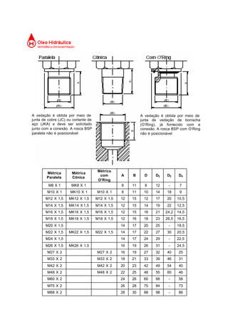 Métrica
Paralela
Métrica
Cônica
Métrica
com
O’Ring
A B D D2 D3 D4
M8 X 1 MK8 X 1 8 11 8 12 - 7
M10 X 1 MK10 X 1 M10 X 1 8 11 10 14 18 9
M12 X 1,5 MK12 X 1,5 M12 X 1,5 12 15 12 17 20 10,5
M14 X 1,5 MK14 X 1,5 M14 X 1,5 12 15 14 19 22 12,5
M16 X 1,5 MK16 X 1,5 M16 X 1,5 12 15 16 21 24,2 14,5
M18 X 1,5 MK18 X 1,5 M18 X 1,5 12 16 18 23 26,5 16,5
M20 X 1,5 14 17 20 25 - 18,5
M22 X 1,5 MK22 X 1,5 M22 X 1,5 14 17 22 27 30 20,5
M24 X 1,5 14 17 24 29 - 22,5
M26 X 1,5 MK26 X 1,5 16 19 26 31 - 24,5
M27 X 2 M27 X 2 16 19 27 32 40 25
M33 X 2 M33 X 2 18 21 33 39 46 31
M42 X 2 M42 X 2 20 23 42 49 54 40
M48 X 2 M48 X 2 22 25 48 55 60 46
M60 X 2 24 26 60 68 - 58
M75 X 2 26 28 75 84 - 73
M88 X 2 28 30 88 98 - 86
A vedação é obtida por meio de
junta de cobre (JC) ou cortante de
aço (JKA) e deve ser solicitado
junto com a conexão. A rosca BSP
paralela não é posicionável
A vedação é obtida por meio de
junta de vedação de borracha
(O’Ring), já fornecido com a
conexão. A rosca BSP com O’Ring
não é posicionável
 