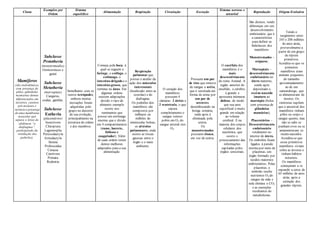 Classe
Exemplos por
Ordem
Sistema
esquelético
Alimentação Respiração Circulação Excreção
Sistema nervoso e
sensorial
Reprodução Origem Evolutiva
Mamíferos
(são endotérmicos,
com presença de
pêlos, glândulas
mamarias dentes
diferenciados em
incisivos, caninos
pré-molares e
molares e presença
de uma membrana
muscular que
separa o tórax do
abdômen “o
diafragma”,
participando da
ventilação dos
pulmões).
Subclasse
Prototheria
(monotremados)
Ornitorrincos e
guiné
Subclasse
Metatheria
(marsupiais)
Cangurus,
coalas, gambás.
Subclasse
Eutheria
(placentários)
Insectivora
Chiroptera
Lagomorpha
Perissodactyla
Artiodactyla
Sirenia
Proboscidea
Cetacea
Carnívora
Primata
Rodentia
Semelhante com os
outros tetrápodes,
embora muitas
inovações foram
adquiridas pelo
grupo no decorrer
de sua evolução,
principalmente na
estrutura do crânio
e dos membros.
Começa pela boca, à
qual se seguem a
faringe, o esôfago, o
estômago, o
intestino delgado e o
intestino grosso, que
termina no ânus. Em
algumas ordens
existem adaptações
devido o tipo de
alimento exemplo
ocorre nos
ruminantes que
possui um estômago
enorme que e divido
em 4 compartimentos
(rume, barrete,
folhoso e
coagulador); Além
de cada ordem terem
dentes melhores
adaptados para a sua
alimentação.
Respiração
pulmonar que
possui o auxilio da
ação dos músculos
intercostais
(localizado entre as
costelas) e do
diafragma.
Os pulmões dos
mamíferos são
compostos por
milhares ou
milhões de
minúsculas bolsas,
os alvéolos
pulmonares, onde
ocorre as trocas
gasosas entre o
órgão e o meio
ambiente.
O coração dos
mamíferos
possuem 4
câmaras: 2 átrios e
2 ventrículo, o que
separa
completamente o
sangue venoso
pobre em O2 do
sangue arterial rico
O2.
Possuem um par
de rins que remove
do sangue a uréia,
que é secretada em
forma de urina por
um par de
ureteres
desembocando na
bexiga urinária,
onde após é
eliminada pela
uretra.
Os
monotremados
possuem cloaca,
em vez de uretra.
O encéfalo dos
mamíferos é o
mais
desenvolvimento
do reino Animal. A
região anterior do
encéfalo, o cérebro,
é grande e
apresenta inúmeras
dobras, de modo
que sua aera
superficial é muito
grande em relação
ao volume
cerebral. É na
maioria dos corpos
celulares dos
neurônios, que
ocorre o
processamento das
informações
capitadas pelos
órgãos sensoriais.
São dioicos, tendo
diferenças em seu
desenvolvimento
embrionário que é
a característica
para definir as
Subclasses dos
mamíferos.
Monotremados –
ovíparos;
Marsupiais –
desenvolvimento
embrionário no
útero materno,
sendo após
depositado o
recém-nascido
imatura ao
marsúpio (bolsa
com presença de
glândulas
mamárias);
Placentários –
Desenvolvimento
embrionário
totalmente no
interior do útero.
Os embriões ficam
ligados à parede
uterina por meio de
placentas, um
órgão formado por
tecidos maternos
embrionários. Pelas
placentas, o
embrião recebe
nutrientes O2 do
sangue da mãe e
nela elimina o CO2
e as excreções
resultantes do
metabolismo.
Tendo o
surgimento entre
245 e 208 milhões
de anos atrás,
provavelmente a
partir de um grupo
de répteis
primitivos.
Acredita-se que os
primeiros
mamíferos eram
animais pequenos,
do tamanho
aproximadamente
ao de um
camundongo, que
se alimentavam de
insetos. Os
cientistas supõem
que o ancestral dos
mamíferos tinham
pêlos no corpo e
sangue quente, mas
não se sabe se
punham ovos ou se
amamentavam os
recém-nascidos.
Acredita-se que
esses primitivos
mamíferos viviam
sobre as árvores e
tinham hábitos
noturnos.
Os mamíferos
começaram a se
expandir a cerca de
65 milhões de anos
atrás, após a
extinção dos
grandes répteis.
 