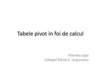 Tabele pivot in foi de calcul 
Putnoky Ligia 
Colegiul Tehnic E. Ungureanu 
 