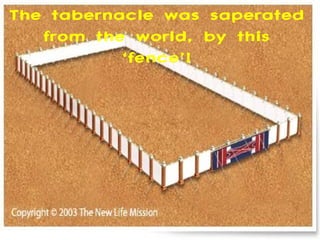Het hout kwam van
The tabernacle was saperated
             een “knoerharde”
   from the world, by this
              acaciaboom,niet
           ‘fence’!
              mee te werken!




Zo kan God van iets
 slechts…toch iets
heel goeds maken!
 
