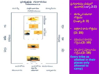 8/3/2021 Email: goodnews4_u@hotmail.com 23
ప్
ర .గుడారము మధ్యలో
వుండాలి(స్ుంఖ్యయ.2:2)
• తూరుమన యూద్ధ
గోత్
ి ము
(సంఖ్యయ.2: 3)
• ఉత్
త రాన ద్ధను గోత్
ి ము
(2: 25)
• ద్ిి ణ్మున రూబేను
గోత్
ర ము(2: 10)
• ప్శ్చామాన ఎఫ్ర
ర యీము
గోత్
ర ము(2: 18)
Every tribe as
allotted in their
places only
allowed to
camp)
 