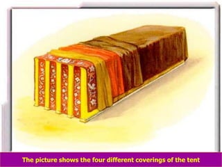 8/3/2021 Email: goodnews4_u@hotmail.com 25
The picture shows the four different coverings of the tent
 