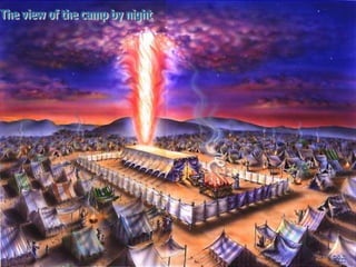 8/3/2021 Email: goodnews4_u@hotmail.com 8
 