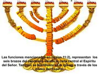 Las funciones mencionadas en (Isaías 11:2), representan los
 seis brazos del candelero siendo la caña central el Espíritu
del Señor. También se manifiesta en la iglesia a través de los
                     dones del Espíritu
 
