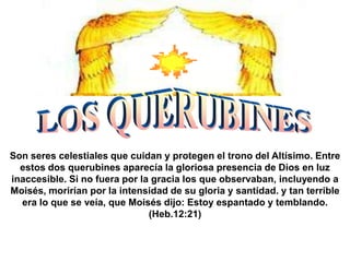 Son seres celestiales que cuidan y protegen el trono del Altísimo. Entre
  estos dos querubines aparecía la gloriosa presencia de Dios en luz
inaccesible. Si no fuera por la gracia los que observaban, incluyendo a
Moisés, morirían por la intensidad de su gloria y santidad. y tan terrible
  era lo que se veía, que Moisés dijo: Estoy espantado y temblando.
                               (Heb.12:21)
 