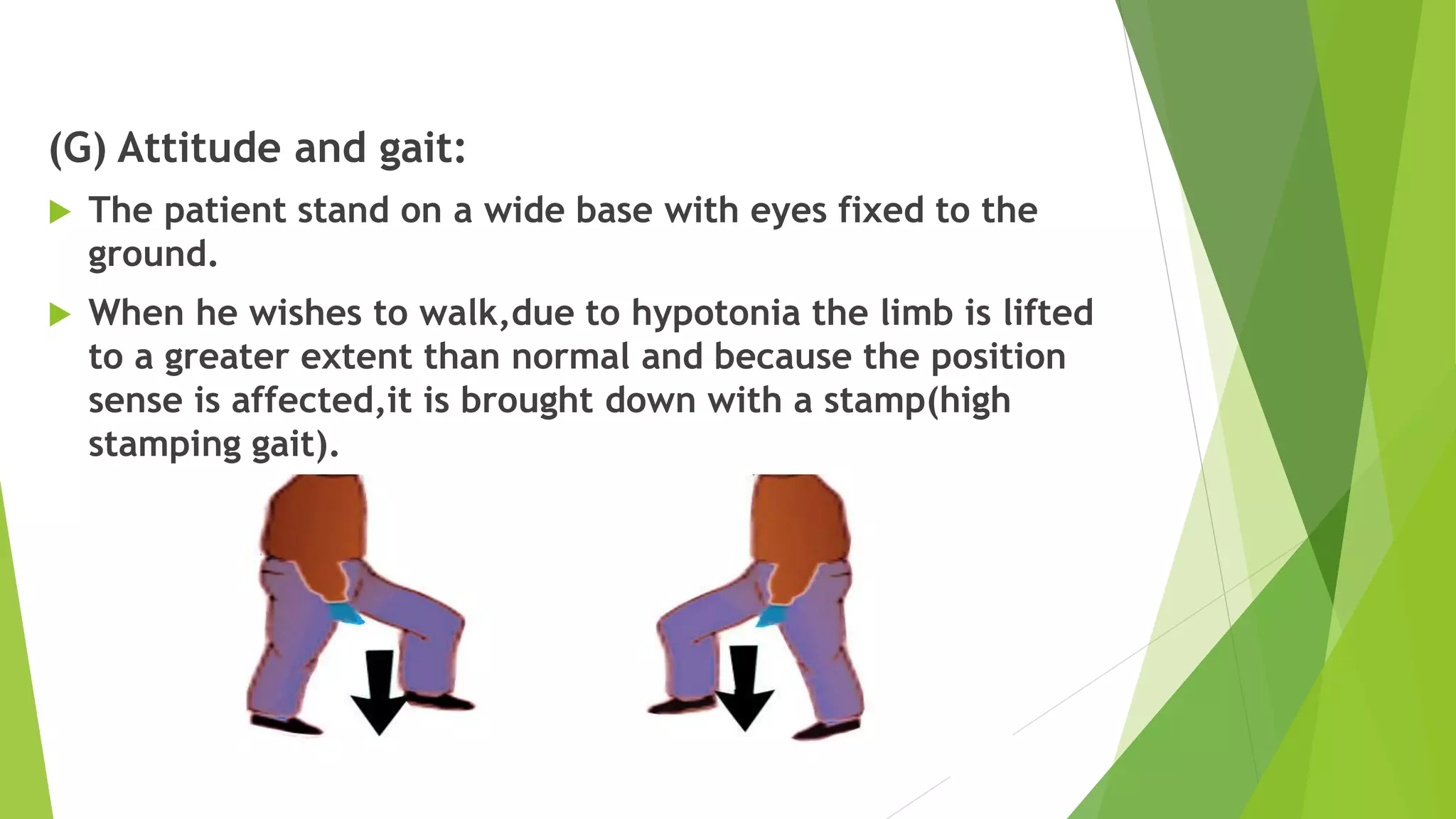 (G) Attitude and gait:
 The patient stand on a wide base with eyes fixed to the
ground.
 When he wishes to walk,due to hypotonia the limb is lifted
to a greater extent than normal and because the position
sense is affected,it is brought down with a stamp(high
stamping gait).
 
