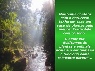 Mantenha contato
com a natureza;
tenha em casa um
vaso de plantas pelo
menos. Cuide dele
com carinho.
O amor que
dedicamos às
plantas e animais
acalma o ser humano
e funciona como
relaxante natural...
 
