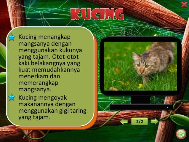 Tabiat makanan haiwan Tabiat makanan haiwan