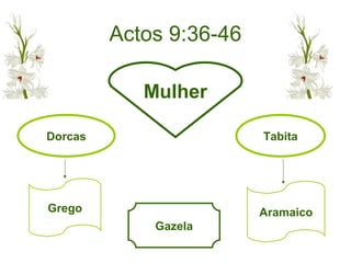 Actos 9:36-46
Grego Aramaico
Dorcas Tabita
Mulher
Gazela
 