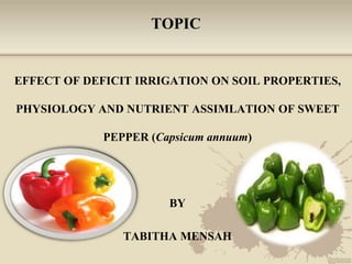 TOPIC
EFFECT OF DEFICIT IRRIGATION ON SOIL PROPERTIES,
PHYSIOLOGY AND NUTRIENT ASSIMLATION OF SWEET
PEPPER (Capsicum annuum)
BY
TABITHA MENSAH
 