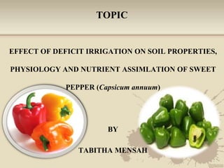 TOPIC
EFFECT OF DEFICIT IRRIGATION ON SOIL PROPERTIES,
PHYSIOLOGY AND NUTRIENT ASSIMLATION OF SWEET
PEPPER (Capsicum annuum)
BY
TABITHA MENSAH
 
