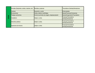 Animales (Serpientes, arañas, roedores, etc) Mordidas, picaduras Traumatismo (Heridas)/Hematomas
Vectores Exposición a vector Enfermedades
Excavaciones Caída a distinto nivel/Golpes Muerte/Fracturas/Contusiones
Trabajos submarinos Corte de suministro de oxígeno, despresurización Muerte/Ahogamiento/Traumatismo
Vandalismo Golpes o cortes
Fracturas/Traumatismo
(heridas)/Hematomas
Disturbios públicos Golpes o cortes
Fracturas/Traumatismo
(heridas)/Hematomas
Agresiones de terceros Golpes o cortes
Fracturas/Traumatismo
(heridas)/Hematomas
OTROS
 