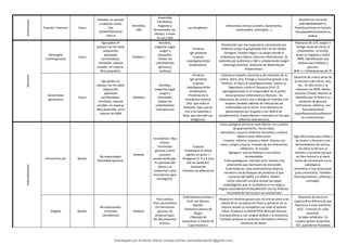 Enterococos Faecalis / Faecium Cocos
Aislados, en parejas
o cadenas cortas.
Son
ESTREPTOCOCOS
TIPO D
Hemólisis.
Alfa
Anaerobio
Facultativo.
Exigente y
fermentador (ac.
láctico). Crecen
en sal y bilis
Las del género.
Infecciones clínicas (urinaria, bacteriemia,
endocarditis, meningitis...)
Resistencia creciente
(ANTIBIOGRAMA!!!).
Penicilina/Amox en faecalis
Glucopeptido/Linezolid en
ambos.
Neisseria
Meningitis
(meningococo)
Cocos
Agrupados en
parejas con los lados
adyacentes
aplanados
(arriñonadas).
Inmóviles, capsula
variable, sin esporas.
Muy pequeños.
Oxidasa +
Aerobias,
exigentes (agar
sangre o
chocolate).
Oxidan los
carbohidratos
(glucosa y
maltosa)
-Fimbrias
-IgA proteasa
-Capsula
-Lipooligosacárido
(endotoxina)
Penetración por vía respiratoria colonización por
fimbrias unidas al gangliósido GD1 de las células
faríngeas. Pueden llegar a la sangre donde la
endotoxina hace liberar citocinas inflamatorias. Se
extiende por pulmones y SNC o simplemente sangre
(meningococemia). Síndrome de Waterhouse-
friederichsen.
Muestras de LCR, sangre o
faringe antes de iniciar el
tratamiento. La tinción
Gram es negativa y habrá
PMN. Identificación por
oxidasa para maltosa y
glucosa.
BHE => Cefalosporinas de 3º
Gonorrheae
(gonococo)
Cocos
Agrupados en
parejas con los lados
adyacentes
aplanados
(arriñonadas).
Inmóviles, capsula
variable, sin esporas.
Muy pequeños. En el
interior de PMN
Oxidasa+
Aerobias,
exigentes (agar
sangre o
chocolate).
Oxidan los
carbohidratos
(solo glucosa)
-Fimbrias
-IgA proteasa
-Capsula
-Lipooligosacárido
(endotoxina)
-Proteínas de la
membrana externa
(Por: que evita el
lisosoma, Opa: que la
une a los epitelios y
Rmp: que esconde sus
antígenos)
Coloniza el epitelio columnar y de transición de la
uretra, útero, ano, faringe y conjuntiva gracias a las
fimbrias, la Opa y el Lipooligosacárido. Induce su
fagocitosis y evita el lisosoma (Por). El
Lipooligosacárido es el responsable de la acción
lesiva (proceso inflamatorio y fibrosis). Da
infecciones de uretra, ano y faringe en hombre y en
mujeres también además de infecciones de
continuidad con el cérvix. Si se disemina es
gonococemia (en mujeres o con déficit de
complemento). Puede afectar a neonatos en los ojos
(oftalmia neonatorum).
Muestras de uretra antes de
la micción o del cérvix, ano,
etc.. Se tiñe Gram y se
observan los PMN. Medio
selectivo (Thayer Martin) se
identifica por el Gram y su
oxidación de glucosa.
Ceftriaxona, cefixima, una
fluoroquinolona
(ciprofloxacino/levofloxacin
o) o azitromicina.
Enterobacterias
Escherichia coli Bacilos
No esporulados.
Movilidad opcional.
Oxidasa-
Facultativos. Muy
activos.
Fermentan
glucosa y otros
azucares
produciendo gas.
Es quelante del
hierro y se
comportan como
hemolisinas para
conseguirlo.
-Capsula
-Endotoxina A (shock
séptico en gram -)
-Antígenos O, H y K (con
ello se clasifican)
-Exotoxinas
-Factores de adherencia
Como patógeno primario suele afectar con cuadros
de gastroenteritis. Varios tipos:
-Hemolítica: causa el síndrome hemolítico urémico.
Afebril causa inflamación
-Invasiva: Inflama, invasiva y febril. Diarrea con
moco, sangre y leucos. Invasión de los enterocitos
-Adherens: 3º mundo
-Agregans: usa las fimbrias y una toxina
termoestable
-Enteropatógenas: Inoculan prot. toxicas a los
enterocitos que destruyen los microvillis
-Enterotóxicas: usan enterotoxinas (diarrea
secretora vía de bloqueo de proteínas G que
aumenta del AMPc y el GMPc). Afebril
Como infección urinaria actúan las cepas
uropatogenas que se multiplican en la vejiga y
migran ascendentemente(adhesión con las fimbrias,
necesidad de hierro para sus exotoxinas)
Agar McConkey que inhibe a
las Gram+ y favorece a las
fermentadoras de lactosa.
Se utiliza la técnica se
siembra y recuento (ya que
es flora normal y el mero
hecho de encontrarlo no es
patológico).
Penicilina, si hay lactamasas
pues amoxicilina. También
fluoroquinolonas, cefalosp y
aminoglic.
Shigella Bacilos
No esporulados.
Inmóviles
(amebianas)
Oxidasa-
Poco activas.
Poco sacarolíticas
(no fermentan
glucosa, no
producen gas).
No descarboxilan
la lisina.
-Enterotoxina (similar a
Ecoli con diarrea
líquida)
-Exotoxina (toxina de
Shiga)
-Plásmido de
transcitosis a Células M
(cap invasiva a
Alcanza el intestino grueso por vía oral se unen a las
células M en las placas de Peyer y penetran en su
interior donde se multiplican por todo el epitelio
cólico. Producen la DISENTERIA BACILAR (diarrea
mucopurulenta y con sangre) debido a la exotoxina.
También produce el síndrome Hemolítico Urémico.
Síndrome de Reiter.
Muestras de heces en
coprocultivo diferencial que
favorezca a estas bacterias
(XLD : crecerán en color
amarillo).
Se debe rehidratar. En
cuadros graves ampicilina,
SXT, quinolonas fluoradas
Descargado por Armando Alonso Uranga Gómez (armandocubos01@gmail.com)
lOMoARcPSD|6504144
 