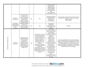 más graves y pueden
dejar secuelas.
Aegyptius produce
conjuntivitis aguda y
purulenta y fiebre
purpurea de Brasil (en
niños)
Ducreyi produce el
chancro blando una ETS
Pasteurella
multocida y canis
Pequeños, inmóviles y
sin espora. Se
encuentra en animales
(en su orofaringe).El
hombre entra en
contacto a través de
arañazos, mordeduras
o compartir comida.
N/A N/A
Afectación pulmonar y
de tejidos blandos que
puede llegar a una
bacteriemia en
inmunodeprimidos.
Se cultiva en agar chocolate en presencia de Vancomicina
para aumentar su crecimiento. Tiene olor y la colonia es
grande y cremosa.
Beta-lac (penic.)
Actinobacilus
actinomycetemco
mitans (pertenece
a los
Haemophilus)
Pequeños, inmóviles y
sin espora. Se
encuentra en animales
(en su orofaringe).
También en humanos.
N/A N/A
Desencadenan
periodontitis,
endocarditis e infección
de mordeduras de
animales.
Ampicilina.
Bordetella
(familia
alcaligenaceae)
Pertussis y
parapertussis
Patógeno primario y
exclusivo del hombre.
Vías respiratorias.
Capsulado y no
esporulado. Inmóvil.
Antígeno somático O
(aglutinógeno O) y
antígenos superciales
o K o aglutinógenos y
factores 1-14
N/A
Toxina Pertussis. Su fracción
S3 incrementa la presencia
de CR3 en PMN lo que
estimula su adherencia a los
mismos. La fracción S1
bloquea la proteína G => la
síntesis de AMPc por la
adenilciclasa no va a ser
inhibida.
Otras toxinas: hemolisina-
adenil-ciclasa(incrementa
AMPc), toxina
dermonecrótica, citotoxina
traqueal (ambas destruyen) y
lipopolisacárido. (junto con la
CT produce fiebre mediante
citocinas)
Tos ferina típica:
Rinorrea, tos y febrícula
(fase contagiosa). Más
tarde el periodo
paroxístico clínicamente
característico con tos
emetizante,
agotamiento y
linfocitosis. Tras este
periodo puede
arreglarse o dar
complicaciones por
neumonía o aumento de
presión intratoracica.
Puede darse en
vacunados porque la
vacuna pierde eficacia.
Tos ferina atípica:
asintomática, da un
cuadro similar al catarro
común. Puede
desembocar en tos
crónica.
Parapertussis no tiene
toxina Pertussis y el caso
es más leve.
Muestra de aspirado faríngeo con transporte adecuado.
Cultivo. Inmunofluorescencia de antígenos, ELISA o PCR. El
tratamiento es sintomático y el antibiótico solo es útil fuera
del periodo paroxístico. Se usara eritromicina, si hay
resistencia macrólidos o fluoroquinolonas. Enfermedad de
declaración obligatoria para aislamiento. Vacuna muerta,
puede producir síntomas neurológicos.
Descargado por Armando Alonso Uranga Gómez (armandocubos01@gmail.com)
lOMoARcPSD|6504144
 