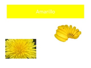 Amarillo