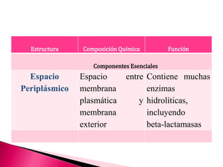 Estructura Composición Química Función
Componentes Esenciales
Espacio
Periplásmico
Espacio entre
membrana
plasmática y
membrana
exterior
Contiene muchas
enzimas
hidrolíticas,
incluyendo
beta-lactamasas
 