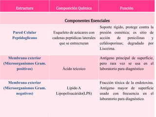 Estructura Composición Química Función
Componentes Esenciales
Pared Celular
Peptidoglicano
Esqueleto de azúcares con
cadenas peptídicas laterales
que se entrecruzan
Soporte rígido, protege contra la
presión osmótica; es sitio de
acción de penicilinas y
cefalosporinas; degradado por
Lisozima.
Membrana exterior
(Microorganismos Gram.
positivos) Ácido teicoico
Antígeno principal de superficie,
pero rara vez se usa en el
laboratorio para diagnóstico
Membrana exterior
(Microorganismos Gram.
negativos)
Lípido A
Lipopolisacárido(LPS)
Fracción tóxica de la endotoxina.
Antígeno mayor de superficie
usado con frecuencia en el
laboratorio para diagnóstico.
 