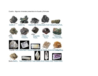 Cuadro. Algunos minerales presentes en el suelo y fórmulas




Grafito C      Cobre Cu     Galena PbS Esfalerita(Zn,Fe)S Calcopirita CuFeS2




Pirita            Geotita          Magnetita     Hematita       Malaquita
 FeS2             FeO(OH)          Fe3O4          Fe2O3       Cu2 CO3 (OH)2




 Fluorita CaF2 Halita NaCl Calcita CaCO3 Calcita CaCO3 Dolomita CaMg(CO3)2




Barita BaSO4    Yeso CaSO4.2H2O Yeso CaSO4.2H2O Cuarzo SiO2 Cuarzo SiO2
 
