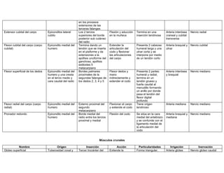 en los procesos
                                                          extensores de las
                                                          terceras falanges
Extensor cubital del carpo        Epicondilos lateral     Los 2 tercios             Flexión y aducción   Termina en una         Arteria interósea    Nervio radial
                                  cubito                  superiores del borde      en la muñeca         inserción tendinosa    craneal y cubital
                                                          posterior sub cutáneo                                                 transversa
                                                          del radio
Flexor cubital del carpo (carpo   Epicondilo medial del   Termina dando un          Extender la          Presenta 2 cabezas:    Arteria braquial y   Nervio cubital
cubital)                          humero                  tendón que se inserta     articulación del     humeral larga y una    ulnar
                                                          en el pisiforme y da      codo y flexionar     ulnar corta y se
                                                          extensiones a la          las articulaciones   interpone por medio
                                                          apófisis unciforme del    del carpo            de un tendón corto
                                                          ganchoso, apófisis
                                                          estiloides 5
                                                          metacarpiano
Flexor superficial de los dedos   Epicondilo medial del   Bordes palmares           Flexor dedos y       Presenta 2 partes:     Arteria interósea    Nervio mediano
                                  humero y una cresta     proximales de la          mano                 humeral y radial,      y braquial
                                  en el tercio medio y    segundas falanges de      indirectamente y     termina en un
                                  cara caudal del radio   los dedos 2, 3, 4 y 5     extender el codo     tendón grueso y
                                                                                                         fuerte caudal al
                                                                                                         menudillo formando
                                                                                                         un anillo por donde
                                                                                                         pasa el tendón del
                                                                                                         flexor digital
                                                                                                         profundo
Flexor radial del carpo (carpo    Epicondilo medial del   Externo proximal del      Flexionar el carpo   Tiene origen           Arteria mediana      Nervio mediano
radial)                           humero                  segundo                   y extiende el codo   tendinoso
                                                          metacarpiano
Pronador redondo                  Epicondilo medial del   Borde medial del          Flexión del codo     Se sitúa en la cara    Arteria braquial y   Nervio mediano
                                  humero                  radio entre los tercios                        medial del antebrazo   mediana
                                                          proximal y medial                              y se confunde con el
                                                                                                         ligamento medial de
                                                                                                         la articulación del
                                                                                                         codo


                                                                           Músculos crunales

           Nombre                       Origen                 Inserción                  Acción          Particularidades         Irrigación              Inervación
Glúteo superficial                Tuberosidad coxal y     Tercer trocánter del      Extiende la          Forma triangular,      Arteria glútea       Nervio glúteo caudal
 