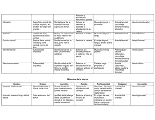flexionar la
                                                                                  articulación
                                                                                  femurotibia patelar
Abductor                        Superficie ventral del   Borde lateral de la      Abduce el             Musculo grande y       Arteria femoral,   Nervio abdocturador
                                pubis e isquion y el     superficie caudal        miembro y             piramidal              circunfleja
                                tendón de origen del     rugosa del fémur         extiende la                                  femoral medial y
                                gracilis                                          articulación de la                           abductor
                                                                                  cadera
Sartorio                        Cresta del ilion y       Rotula, en común con     Extiende la rodilla   Musculo delgado y      Arteria femoral    Nervio femoral
                                aponeurosis toraco       el recto anterior del                          largo
                                lumbar                   cuádriceps
Porción caudal                  Espina iliaca ventral    Borde craneal de la      Flexiona la cadera    Es más delgada,        Arteria femoral    Nervio femoral
                                craneal y borde          tibia, junto con el                            larga y ancha que la
                                ventral vecino del       gracilis                                       craneal
                                ilion
Semitendinoso                   Tuberosidad              Borde craneal de la      Extiende las          Musculo ancho y        Arteria glútea     Nervio ciático
                                isquiática               tibia y tuberosidad      articulaciones de     grueso                 caudal,
                                                         calcáneo                 la cadera y rota la                          obturadora,
                                                                                  pierna                                       circunfleja
                                                                                                                               femoral medial y
                                                                                                                               femoral caudal
Semimembranoso                  Tuberosidad              Borde medial de la       Extiende la           Cabeza larga,          Arteria            Nervio ciático
                                isquiática               superficie rugosa del    articulación de la    pequeña y              obturadora,
                                                         fémur y cóndilo          cadera y abduce el    puntiaguda             glúteo caudal y
                                                         medial de la tibia       miembro                                      circunfleja
                                                                                                                               femoral


                                                                        Músculos de la pierna

            Nombre                       Origen                Inserción                 Acción            Particularidad         Irrigación            Inervación
Musculo tibial craneal          Cóndilo lateral de la    Cresta dorsal del        Flexionar la          Carnoso y forma un     Arteria tibial     Nervio feromeo
                                tibia y facia crural     gran metacarpiano y      articulación del      surco para el tendón   craneal
                                                         primer traciano          corvejón              común del extensor
                                                                                                        digital largo
Musculo extensor largo de los   Fosa extensora del       Apófisis de la falange   Extiende el dedo y    El origen de este      Arteria tibial     Nervio peroneal
dedos                           fémur                    distal y superficial     flexiona el           musculo es             craneal
                                                         dorsal de los falanges   corvejón              mediante un tendón
                                                         medial y proximal                              fuerte, común del
                                                                                                        peroneo anterior
 
