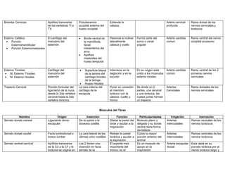 Biventer Cervices             Apófisis transversa      Protuberancia              Extiende la                                   Arteria cervical    Rama dorsal de los
                              de las vertebras TI a    occipital externa del      cabeza                                        profunda            nervios cervicales y
                              TX                       hueso occipital                                                                              torácicos


Esterno Cefálico              El cartílago del         •   Borde ventral de       Flexionar e inclinar   Forma parte del        Arteria carótida    Rama ventral del nervio
 • Porción                    manubrio del                 la mandíbula,          lateralmente           surco o canal          común               occipital accesorio
      Esternomandibular       esternón                     facial                 cabeza y cuello        yugular
 • Porción Esternomastoidea                                mesentérica del
                                                           arco.
                                                       •   Apófisis
                                                           mastoidea del
                                                           hueso temporal


Esterno Tiroideo:             Cartílago del            •     Superficie lateral   Interviene en la       En su origen está      Arteria carótida    Rama ventral de los 2
 • M. Esterno Tiroideo        manubrio del                   de la lamina del     deglución y en la      unido a los músculos   común               primeros nervios
 • M. Esterno Hioides         esternón                       cartílago tiroides   succión                esterno hioideo                            cervicales
                                                             de la laringe
                                                        • Hueso Hioides
Trapecio Cervical             Porción funicular del    La cara interna del        Poner en conexión      Se divide en 2         Arterias            Rama dorsales de los
                              ligamento de la nuca,    cartílago de la            el miembro             partes, una cervical   Cervicales          nervios cervicales
                              desde la 2da vértebra    escapula                   torácico con la        y una torácica, las
                              cervical hasta la 2da                               cabeza, cuello y       cuales juntas forman
                              vertebra torácica.                                  tronco                 un trapecio


                                                                         Músculos del Tórax

            Nombre                  Origen                   Inserción                  Función            Particularidades         Irrigación            Inervación
Serrato dorsal craneal        Ligamento dorso          De la quinta a la          Dilatar la pared del   Musculo plano y        Arterias            Ramas ventrales de los
                              escapular                doceava costilla           tórax y ayudar a la    delgado y su borde     intercostales       nervios torácicos
                                                                                  inspiración            ventral tiene forma
                                                                                                         dentellada
Serrato dorsal caudal         Facia lumbodorsal o      La cara lateral de las     Retraer la pared       Cubre la mayor         Arterias            Ramas ventrales de los
                              toraco lumbar            últimas ocho costillas     torácica y ayudar a    porción anterior del   intercostales       nervios torácicos
                                                                                  la espiración          animal
Serrato ventral cervical      Apófisis transversa      Los 2 tienen una           El soporte más         Es un musculo de       Arteria escapular   Esta dada en su
                              de la C2 a la C7 y la    inserción en facia         importante del         apoyo en la            dorsal              porción torácica por el
                              torácica se origina en   serrata de la              tronco, es el          inspiración                                nervio torácico largo y
 