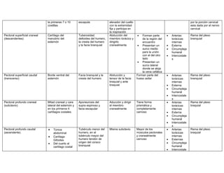 la primeras 7 o 10       escapula                elevador del cuello                                             por la porción cervical
                               costillas                                        con la extremidad                                               esta dada por el nervio
                                                                                fija y participa en                                             cervical
                                                                                la inspiración
Pectoral superficial craneal   Cartílago del            Tuberosidad             Abducción del         •   Forman parte       •   Arterias       Rama del plexo
(descendentes)                 manubrio del             deltoides del humero,   miembro torácico y        de la región del       torácicas      branquial
                               esternón                 la cresta del humero    dirigirlo                 encuentro              internas
                                                        y la facia branquial    cranealmente           • Presentan un        •   Externa
                                                                                                          surco medio        •   Circumpleja
                                                                                                          para la unión          humeral
                                                                                                          con el del otro    •   Intercostale
                                                                                                          lado                   s
                                                                                                       • Presentan un
                                                                                                          surco lateral
                                                                                                          donde se aloja
                                                                                                          la vena cefálica
Pectoral superficial caudal    Borde ventral del        Facia branquial y la    Abducción y           Forman parte del       •   Arterias       Rama del plexo
(transverso)                   esternón                 cresta del humero       tensor de la facia    hueso axilar               torácicas      branquial
                                                                                braquial y ante                                  internas
                                                                                braquial                                     •   Externa
                                                                                                                             •   Circumpleja
                                                                                                                                 humeral
                                                                                                                             •   Intercostale
                                                                                                                                 s
Pectoral profundo craneal      Mitad craneal y cara     Aponeurosis del         Aducción y dirigir    Tiene forma            •   Arterias       Rama del plexo
(subclavio)                    lateral del esternón y   supra espinoso y        el miembro            prismática y               torácicas      braquial
                               en los primeros 4        facia escapular         cranealmente          completamente              internas
                               cartílagos costales                                                    carnoso                •   Externa
                                                                                                                             •   Circumpleja
                                                                                                                                 humeral
                                                                                                                             •   Intercostale
                                                                                                                                 s
Pectoral profundo caudal       •   Túnica               Tubérculo menor del     Misma subclavio       Mayor de los           •   Arterias       Rama del plexo
(ascendente)                       abdominal            humero, en el                                 músculos pectorales        torácicas      braquial
                               •   Cartílago            tubérculo mayor del                           y cranealmente             internas
                                   Gifoides             humero tendón de                              carnoso                •   Externas
                               •   Del cuarto al        origen del coraco                                                    •   Circumpleja
                                   cartílago costal     branquial                                                                humeral
                                                                                                                             •   Intercostale
 