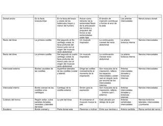 s
Dorsal ancho          En la facia             En la facia del brazo      Actuar como            El tendón de            Las arterias       Nervio toraco dorsal
                      toracolumbar            y cresta de los            retractor de la        inserción contribuye    intercostales
                                              tubérculos mayor y         extremidad flexor      a formar el arco de
                                              menor del humero           de la articulación     la axila
                                                                         del hombro y
                                                                         propulsor del
                                                                         tronco si las
                                                                         extremidades
                                                                         están fijas
Recto del tórax       La primera costilla     Del segundo al 4to         Un musculo             La continuación         La arteria         Nervios intercostales
                                              cartílago costal, la       inspirador             craneal del recto       torácica interna
                                              facia profunda del                                abdominal
                                              tronco junto con el
                                              origen del musculo
                                              recto abdominal
Recto del tórax       La primera costilla     Del segundo al cuarto      Un musculo             La continuación         La arteria         Nervios intercostales
                                              cartílago costal, la       inspirados             craneal recto           torácica interna
                                              facia profunda del                                abdominal
                                              tronco justo con el
                                              origen del musculo
                                              recto abdominal
Intercostal externo   Bordes caudales de      Superficie laterales       Dirige las cotillas    Son músculos de la      Arterias           Nervios intercostales
                      las costillas           de las costillas (costal   cranealmente al        inspiración, rellena    intercostales
                                              y lateral)                 momento de la          los espacios            dorsales y
                                                                         inspiración            intercostales y están   torácicas
                                                                                                casi en ángulo recto    internas
                                                                                                por encima de los
                                                                                                intercostales
                                                                                                internos
Intercostal interno   Borde craneal de las    Cartílago de la            Sirven para la         Son músculos de la      Arterias           Nervios intercostales
                      costillas a los         costilla anterior          espiración             inspiración, rellena    intercostales
                      cartílagos                                                                … (mismo que I.         dorsales y
                                                                                                externo)                torácicas
                                                                                                                        internas
Cutáneo del tronco    Región axilar, cubre    La piel del tórax          Al contraerse el       Está ubicado por        Arterias           Nervios torácicos
                      paredes dorsales,                                  musculo mueve la       debajo de la piel       vertebrales        laterales, intercostales
                      ventrales y laterales                              piel                                           intercostales      y lumbares
                      del tórax
Escaleno              Borde craneal y         Parte dorsal esta          Flexionar o inclinar   Entre sus vientres o    Arteria carótida   Rama ventral del nervio
 