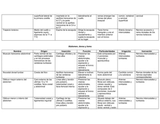 superficial lateral de    insertada en la           lateralmente el      ramas emergen las       común, vertebral   cervical
                               la primera costilla       apófisis transversa de    cuello               ramas del plexo         y cervical
                                                         la C7 y la parte                               braquial                superficial
                                                         ventral en la apófisis
                                                         transversa de la C4 a
                                                         la C7
Trapecio torácico              Medio del cuello y        Espina de la escapula     Dirige la escapula   Tiene forma             Arteria dorsal e   Nervios accesorio y
                               ligamento supra                                     dorsal y             triangular y une el     intercostales      rama dorsales de los
                               espinoso de la T1 a                                 caudalmente y        miembro anterior                           nervios torácicos
                               T10                                                 sujeta la escapula   con el tronco
                                                                                   en su lugar


                                                                       Abdomen, dorso y lomo

           Nombre                      Origen                   Inserción                Función          Particularidades          Irrigación           Inervación
Musculo transverso abdominal   Parte ventral de los      Cartílago xifoides y la   Presionar las        Está compuesta por      Arterias           Nervios intercostales y
                               cartílagos extérnales     línea alba                viseras              2 porciones:            intercostales      lumbares
                               y en los procesos                                   abdominales,         muscular y              lumbares
                               transversos de las                                  ayudar a la          aponeurótica
                               vertebras lumbares                                  espiración y
                                                                                   arquear el tronco
                                                                                   ventral y
                                                                                   lateralmente
Iliocostal dorsal lumbar       Cresta del ilion          Apófisis transversa       Elevan e inclinan    Forma parte del         Carótida común     Ramas dorsales de los
                                                         de las vertebras          lateralmente la      recto abdominal         y la subclavia     nervios espinales
                                                         lumbares                  columna                                                         correspondientes
Oblicuo mayor externo del      Cara externa de las       Línea alba y tendón       Presionar las        Musculo plano,          Arterias           Nervios intercostales y
abdomen                        ultimas 13 y 14           pre pubiano,              viseras              fibras son oblicuas,    intercostales y    lumbares
                               costillas, facia costal   tuberosidad coxal y       abdominales,         cráneo caudal y         lumbares
                               y abdominal               facia femoral interna     ayudar a la          dorso ventral. Está
                                                                                   espiración y         compuesto de 2
                                                                                   arquear el tronco    porciones: muscular
                                                                                   ventral y            y aponeurótica
                                                                                   lateralmente         ventral
Oblicuo menor o interno del    Tuberosidad costal y      Cartílago de las          Presionar las        Situada debajo del      Arterias           Nervios intercostales y
abdomen                        ligamentos inguinal       ultimas 5 costillas,      viseras              oblicuo externo, sus    intercostales y    lumbares
                                                         línea alba y tendón       abdominales,         fibras son oblicuas     lumbares
                                                         pre pubiano               ayudar a la          caudo ventral y
                                                                                   espiración y         dorso ventral y están
 