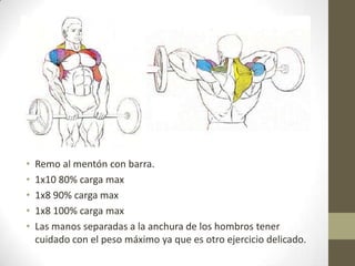 •   Remo al mentón con barra.
•   1x10 80% carga max
•   1x8 90% carga max
•   1x8 100% carga max
•   Las manos separadas a la anchura de los hombros tener
    cuidado con el peso máximo ya que es otro ejercicio delicado.
 