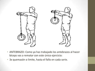• ANTEBRAZO: Como ya has trabajado los antebrazos al hacer
  bíceps vas a rematar con este único ejercicio:
• 3x quemazón o limite, hasta el fallo en cada serie.
 
