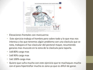 • Elevaciones frontales con mancuerna:
• Este ejercicio trabaja el hombro pero sobre todo y lo que mas nos
  interesa a los que tenemos algún problema con una clavícula que se
  nota, trabajara el haz clavicular del pectoral mayor, resumiendo
  ganaras mas musculo en la zona de la clavícula para taparla.
• 1x8 80% carga max
• 1x8 90% carga max
• 1x6 100% carga max
• Quiero que sufra mucho con este ejercicio que te machaques mucho
  con el para hipertrofiar mucho es zona ya que es difícil de ganar.
 
