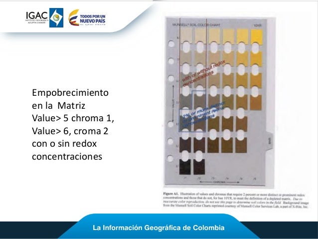 Tabla Munsell: qué tiene y cómo se usa. Colores litocrómicos
