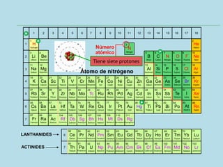 Tiene siete protones
Número
atómico
Átomo de nitrógeno
Al
Aluminium
13
B
Boron
5
Si
Silicon
14
C
Carbon
6
As
Arsenic
33
P
Phosphorus
15
N
Nitrogen
7
Po
Polonium
84
Te
Tellurium
52
Se
Selenium
34
S
Sulphur
16
O
Oxygen
8
At
Astatine
85
I
Iodine
53
Br
Bromine
35
Cl
Chlorine
17
F
Fluorine
9
He
Helium
2
Rn
Radon
86
Xe
Xenon
54
Kr
Krypton
36
Ar
Argon
18
Ne
Neon
10
H
Hydrogen
1
Lr
Lawrencium
103
No
Nobelium
102
Md
Mendelevium
101
Fm
Fermium
100
Es
Einsteinium
99
Cf
Californium
98
Bk
Berkelium
97
Cm
Curium
96
Am
Americium
95
Pu
Plutonium
94
Np
Neptunium
93
U
Uranium
92
Pa
Protactinium
91
Th
Thorium
90
Lu
Lutetium
71
Yb
Ytterbium
70
Tm
Thulium
69
Er
Erbium
68
Ho
Holmium
67
Dy
Dyprosium
66
Tb
Terbium
65
Gd
Gadolinium
64
Eu
Europium
63
Sm
Samarium
62
Pm
Promethium
61
Nd
Neodymium
60
Pr
Praseodymium
59
Ce
Cerium
58
Rg
Roentgenium
111
Ds
Darmstadtium
110
Mt
Meitnerium
109
Hs
Hassium
108
Bh
Bohrium
107
Sg
Seaborgium
106
Db
Dubnium
105
Rf
Rutherfordium
104
Ac
Actinium
89
Ra
Radium
88
Cs
Cesium
55
Bi
Bismuth
83
Pb
Lead
82
Ti
Thallium
81
Hg
Mercury
80
Au
Gold
79
Pt
Platinum
78
Ir
Iridium
77
Os
Osmium
76
Re
Rhenium
75
W
Tungsten
74
Ta
Tantalum
73
Hf
Hafnium
72
La
Lanthanum
57
Ba
Barium
56
Sb
Antimony
51
Sn
Tin
50
In
Indium
49
Cd
Cadmium
48
Ag
Silver
47
Pd
Palladium
46
Rh
Rhodium
45
Ru
Ruthenium
44
Tc
Technetium
43
Mo
Molybdenum
42
Nb
Niobium
41
Zr
Zirconium
40
Y
Yttrium
39
Sr
Strontium
38
Ge
Germanium
32
Ga
Gallium
31
Zn
Zinc
30
Cu
Copper
29
Ni
Nickel
28
Co
Cobalt
27
Fe
Iron
26
Mn
Manganese
25
Cr
Chromium
24
V
Vanadium
23
Ti
Titanium
22
Sc
Scandium
21
Ca
Calcium
20
Mg
Magnesium
12
Fr
Francium
87
Rb
Rubidium
37
K
Potassium
19
Na
Sodium
11
Be
Beryllium
4
Li
Lithium
3
6
7
1
2
3
4
5
7
6
1 2 3 4 5 6 7 8 9 10 11 12 13 14 15 16 17 18
N
Nitrogen
7
LANTHANIDES
ACTINIDES
 