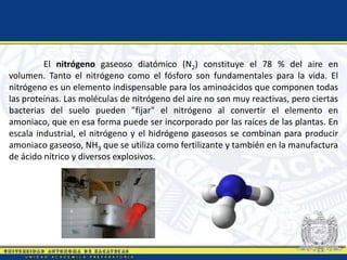 El nitrógeno gaseoso diatómico (N2) constituye el 78 % del aire en
volumen. Tanto el nitrógeno como el fósforo son fundamentales para la vida. El
nitrógeno es un elemento indispensable para los aminoácidos que componen todas
las proteínas. Las moléculas de nitrógeno del aire no son muy reactivas, pero ciertas
bacterias del suelo pueden "fijar" el nitrógeno al convertir el elemento en
amoniaco, que en esa forma puede ser incorporado por las raíces de las plantas. En
escala industrial, el nitrógeno y el hidrógeno gaseosos se combinan para producir
amoniaco gaseoso, NH3 que se utiliza como fertilizante y también en la manufactura
de ácido nítrico y diversos explosivos.
 
