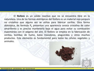 El fósforo es un sólido reactivo que no se encuentra libre en la
naturaleza. Una de las formas alotrópicas del fósforo es un material rojo púrpura
no cristalino que alguna vez se utilizo para fabricar cerillas. Otra forma
alotrópica, de formula P4 presentan una apariencia cerosa cristalina de color
amarillento y es preciso mantenerla bajo el agua para evitar su combustión
espontánea con el oxigeno del aire. El fósforo se emplea en la fabricación de
cerillas, bombas de humo, balas trazadoras, plaguicidas y otros muchos
productos. Este elemento es fundamental para todas las células vegetales y
animales.
 