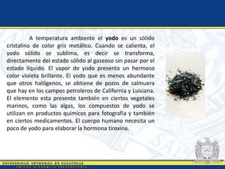A temperatura ambiente el yodo es un sólido
cristalino de color gris metálico. Cuando se calienta, el
yodo sólido se sublima, es decir se transforma,
directamente del estado sólido al gaseoso sin pasar por el
estado líquido. El vapor de yodo presenta un hermoso
color violeta brillante. El yodo que es menos abundante
que otros halógenos, se obtiene de pozos de salmuera
que hay en los campos petroleros de California y Luisiana.
El elemento esta presente también en ciertos vegetales
marinos, como las algas, los compuestos de yodo se
utilizan en productos químicos para fotografía y también
en ciertos medicamentos. El cuerpo humano necesita un
poco de yodo para elaborar la hormona tiroxina.
 