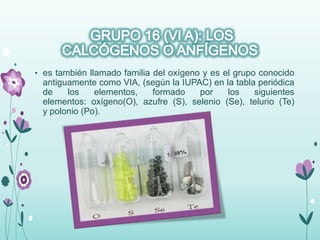 • es también llamado familia del oxígeno y es el grupo conocido
antiguamente como VIA, (según la IUPAC) en la tabla periódica
de los elementos, formado por los siguientes
elementos: oxígeno(O), azufre (S), selenio (Se), telurio (Te)
y polonio (Po).
 