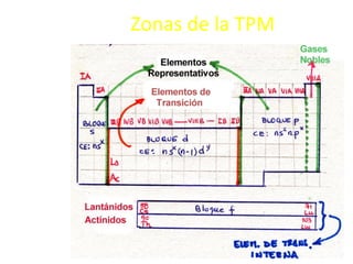 Zonas de la TPM
 