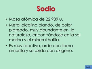 • Masa atómica de 22.989 u.
• Metal alcalino blando, de color
plateado, muy abundante en la
naturaleza, encontrándose en la sal
marina y el mineral halita.
• Es muy reactivo, arde con llama
amarilla y se oxida con oxigeno.

Inicio

 