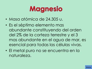 • Masa atómica de 24.305 u.
• Es el séptimo elemento mas
abundante constituyendo del orden
del 2% de la corteza terrestre y el 3
mas abundante en el agua de mar, es
esencial para todas las células vivas.
• El metal puro no se encuentra en la
naturaleza.
Inicio

 