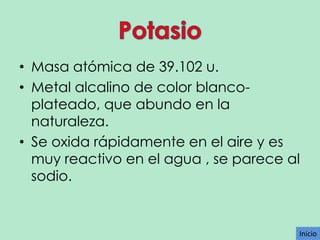 • Masa atómica de 39.102 u.
• Metal alcalino de color blancoplateado, que abundo en la
naturaleza.
• Se oxida rápidamente en el aire y es
muy reactivo en el agua , se parece al
sodio.

Inicio

 