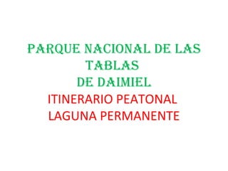 PARQUE NACIONAL DE LAS
TABLAS
DE DAIMIEL
ITINERARIO PEATONAL
ISLA PERMANENTE
 