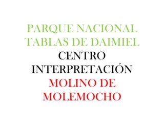 PARQUE NACIONAL
TABLAS DE DAIMIEL
CENTRO
INTERPRETACIÓN
MOLINO DE
MOLEMOCHO
 